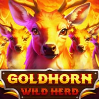 PLAZA88 - Goldhorn Wild Herd | best online
