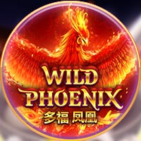 PLAZA88 - Wild Phoenix | best online