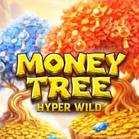 PLAZA88 - Money Tree - Hyper Wild | best online