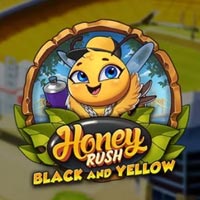 PLAZA88 - Honey Rush Black and Yellow | best online