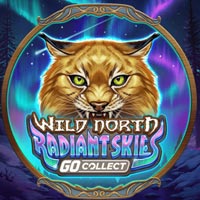 PLAZA88 - Wild North Radiant Skies GO Collect | best online
