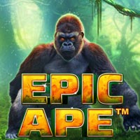 PLAZA88 - Epic Ape | best online