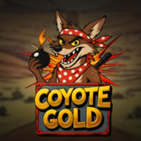 PLAZA88 - Coyote Gold | best online