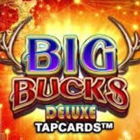 PLAZA88 - Big Bucks Deluxe Tapcards | best online