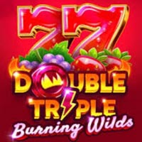 PLAZA88 - Double Triple Burning Wilds | best online
