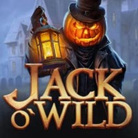 PLAZA88 - Jack O Wild | best online