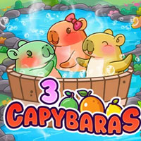 PLAZA88 - 3 Capybaras | best online