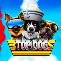 PLAZA88 - 3 Top Dogs | best online