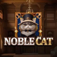 PLAZA88 - Noble Cat | best online
