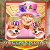 PLAZA88 - Queens Corgi | best online