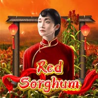 PLAZA88 - Red Sorghum | best online