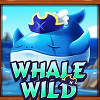 PLAZA88 - Whale Wild | best online
