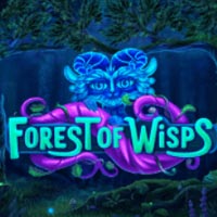 PLAZA88 - Forest of Wisps | best online