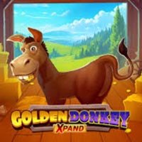 PLAZA88 - Golden Donkey Xpand | best online
