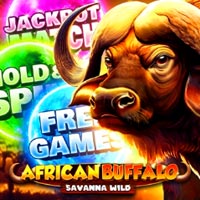PLAZA88 - African Buffalo Savanna Wild | best online