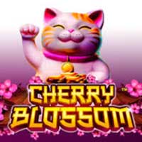 PLAZA88 - Cherry Blossom | best online