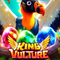 PLAZA88 - King Vulture | best online