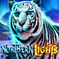 PLAZA88 - Northern Lights | best online