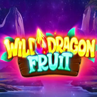PLAZA88 - Wild Dragon Fruit | best online