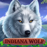 PLAZA88 - Indiana Wolf | best online