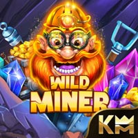 PLAZA88 - Wild Miner | best online