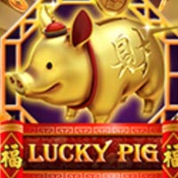PLAZA88 - Lucky Pig | best online
