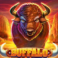 PLAZA88 - Buffalo | best online