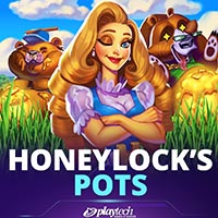 PLAZA88 - Honeylocks Pots | best online
