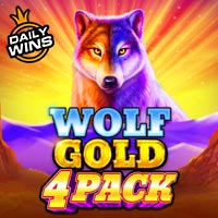 PLAZA88 - Wolf Gold 4 Pack | best online