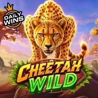 PLAZA88 - Cheetah Wild | best online