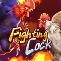 PLAZA88 - Fighting Cock | best online